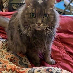 Meet your Posher, Angela